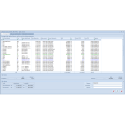 Handel PLUS online dla biur rachunkowych