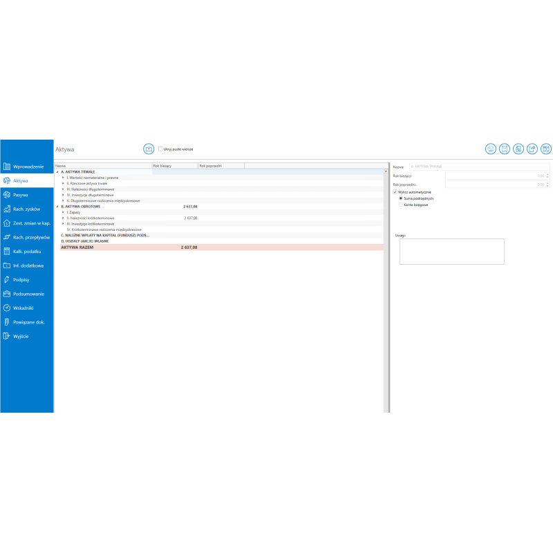 Comarch e-Sprawozdania w Chmurze Enterprise