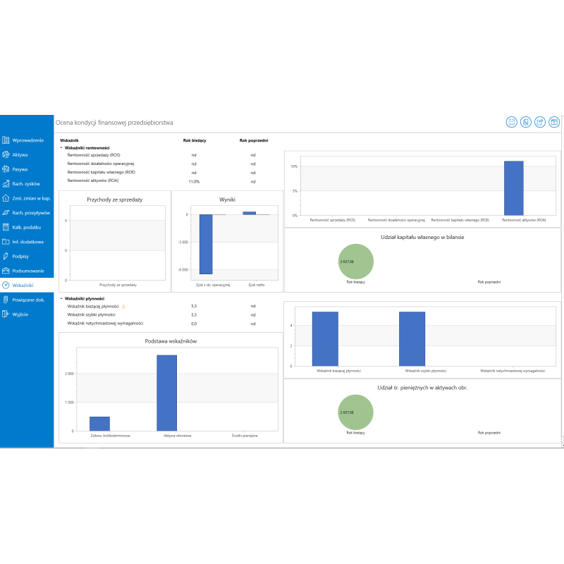 Comarch e-Sprawozdania w Chmurze Enterprise