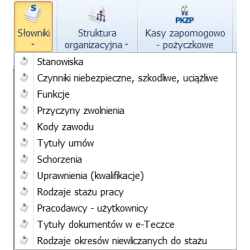 Płace i Kadry PLUS online