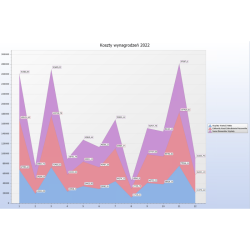 Analizy Business Intelligence dla Firm w Chmurze Standard