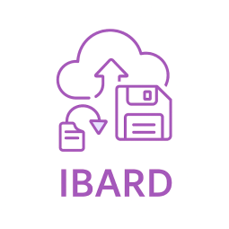 Comarch IBARD - 100 GB Licencja Stacjonarna Opłata Miesięczna