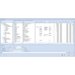 Handel Plus dla Biur Rachunkowych w Chmurze Standard