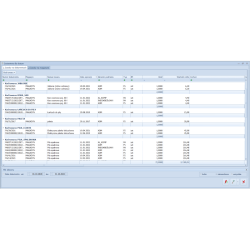 Handel Plus dla Biur Rachunkowych w Chmurze Standard