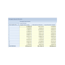 Analizy Business Intelligence dla Biur Rachunkowych w Chmurze Standard