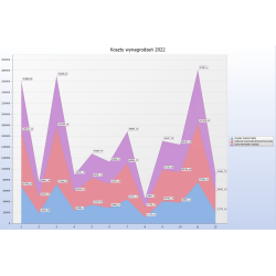 Analizy Business Intelligence w chmurze